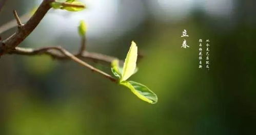 春回大地萬物復蘇，感恩一路有您相伴——第四屆江蘇優質農產品（南京）展銷會圓滿落幕