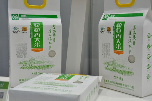 連天下 優質農產品 南京展銷會盛大開幕，南京竹石引領綠色消費新風尚